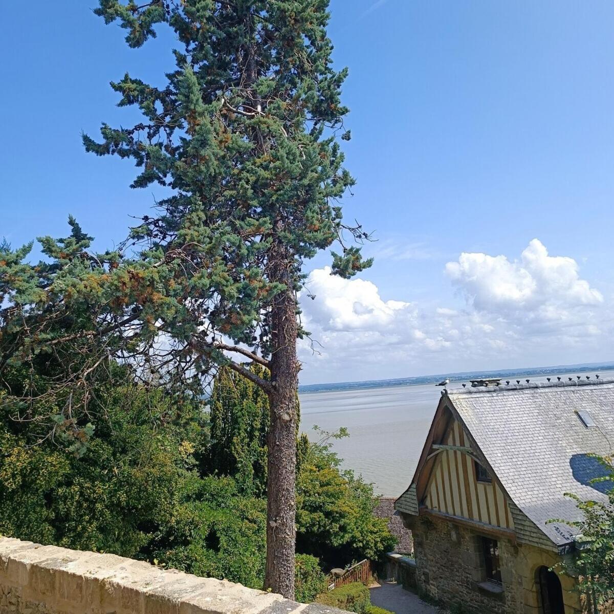 Villa Chez Adele Monte Saint Michel Exterior foto